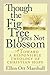 Though the Fig Tree Does Not Blossom: Toward a Responsible Theology of Christian Hope