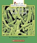 Tiny Life on Your Body