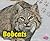 Bobcats (Pebble Plus: Wildcats)