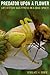 Predator upon a Flower: Life History and Fitness in a Crab Spider