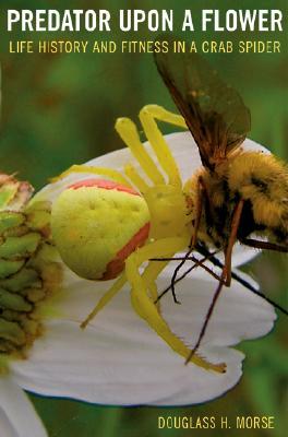 Predator upon a Flower: Life History and Fitness in a Crab Spider (Hardcover)