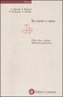 In carne e ossa. DNA, cibo e culture dell'uomo preistorico (Paperback)