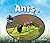 Ants (Insects)