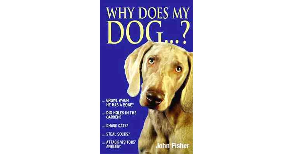 Why Does My Dog By John Fisher