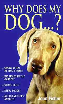 Why Does My Dog...? (Paperback)