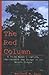 The Red Column by Wallace M. Kain