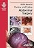 BSAVA Manual of Canine and Feline Abdominal Surgery