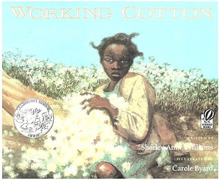 Working Cotton (Paperback)