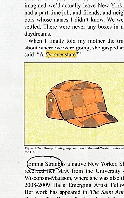 Fly Over State (Paperback)