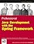 Professional Java Development with the Spring Framework