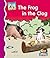 Frog in the Clog