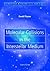 Molecular Collisions in the...