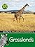 Grasslands