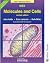 Molecule & Cells: Nelson Ad...