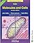 Molecule & Cells by John Adds