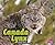 Canada Lynx
