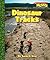 Dinosaur Tracks (Scholastic News Nonfiction Readers: Prehistoric World)