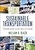 Sustainable Transportation: Problems and Solutions