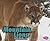 Mountain Lions (Pebble Plus Wildcats)