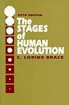 The Stages of Human Evolution