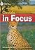 Cheetah Chase