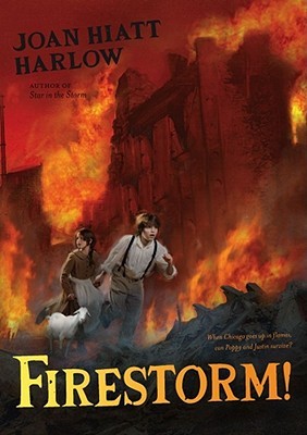 Firestorm! (Hardcover)