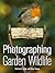 Photographing Garden Wildlife