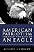 American Patriotism Through the Eyes of an Eagle by Jeremy Latchaw