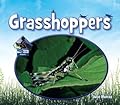 Grasshoppers