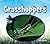 Grasshoppers (Insects)