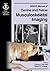 BSAVA Manual of Canine and Feline Musculoskeletal Imaging by Frances Barr