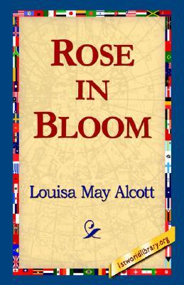 Rose in Bloom
