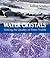 Water Crystals: Making the ...