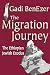 The Migration Journey: The ...