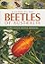 A Guide to the Beetles of Australia [OP]