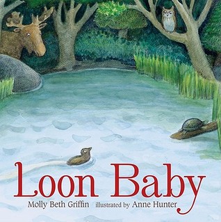 Loon Baby (Hardcover)