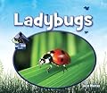 Ladybugs