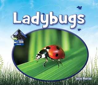Ladybugs (Insects)