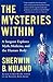 The Mysteries Within: A Sur...