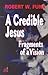 A Credible Jesus: Fragments of a Vision