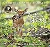 Lost In The Woods: A Photographic Fantasy