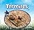 Termites (Insects)