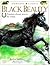 Black Beauty by Caryn Jenner