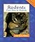 Rodents: From Mice to Muskrats (Animals in Order)