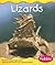 Lizards (Desert Animals)