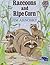 Raccoons and Ripe Corn