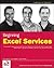 Beginning Excel Services