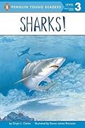 Sharks!