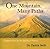 One Mountain, Many Paths by Patrick Swift