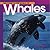 Welcome to the World of Whales (Welcome to the World Series)